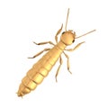 3d render of termite de-alate Royalty Free Stock Photo