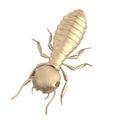 3d render of termite larva