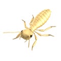 3d render of termite nymph Royalty Free Stock Photo