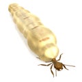 3d render of termite queen Royalty Free Stock Photo