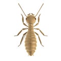 3d render of termite worker Royalty Free Stock Photo