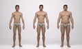 3D Render : three different male body type : underweight, muscular, overweight Royalty Free Stock Photo