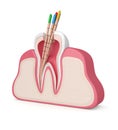 3d render of tooth in gums with gutta percha Royalty Free Stock Photo