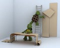 Tortoises decorating a room