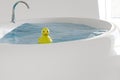 3d render of traditional rubber duckie floating bathtub in sunny room Royalty Free Stock Photo