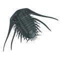 3d render of trilobite