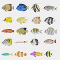 3D Render of Tropical Fish Collection Royalty Free Stock Photo