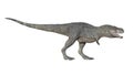 3d render of Tyrannosaurus rex on a white background