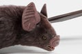 3D Render of Vampire Bat Royalty Free Stock Photo