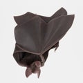 3D Render of Vampire Bat Royalty Free Stock Photo