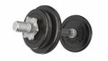 3D render of vintage dumbbell isolated on white