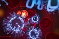 the virus attack the red bloods cell in vein