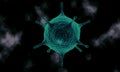 3D Virus Royalty Free Stock Photo