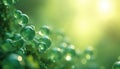 3D render of water molecules in green background. Molecular structure of water with oxygen, hydrogen atoms. Abstract illustration Royalty Free Stock Photo