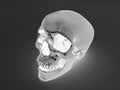3D render of a x-ray human scull