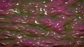 Pink-Green Jello Goo Texture / Wallpaper / Background. 3D render.