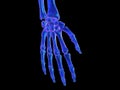 A skeletal hand