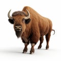 3d Render Bison A Powerful And Authentic Creation Royalty Free Stock Photo