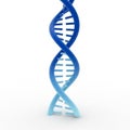 3D rendered blue DNA helix structure isolated on white background Royalty Free Stock Photo