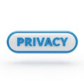3D Rendered Button with the Word PRIVACY in Blue on White and Blue Oval Background Royalty Free Stock Photo
