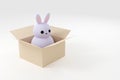 3d rendered decorative precious easter bunny in box on grey background for wallpapers, greeting cards, posters, ads.
