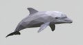 A 3D-rendered dolphin sculpture is depicted using a low-poly design. The geometric Royalty Free Stock Photo