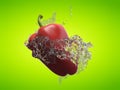 A bell pepper and a water splash Royalty Free Stock Photo