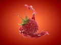 A raspberry splash