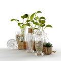 3d rendered glass bottles containing plant life sitting on the floor next to a pile of gravel