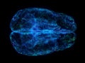 An abstract plexus brain