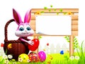 Brown Easter bunny in garden with wooden sign