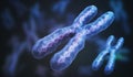 3D rendered illustration of chromosomes. Genetics concept Royalty Free Stock Photo