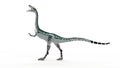 a Coelophysis Royalty Free Stock Photo