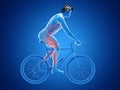 a cyclists muscles Royalty Free Stock Photo