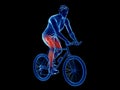 a cyclists muscles Royalty Free Stock Photo