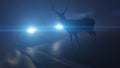 a deer infront of a car Royalty Free Stock Photo