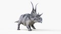 a diabloceratops Royalty Free Stock Photo