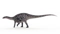 Dicraeosaurus Royalty Free Stock Photo