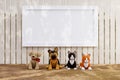 3d rendered illustration of a fence with white mock up poster frame and stuffed toy animals Royalty Free Stock Photo