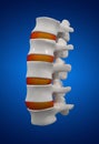 3D rendering illustration of lumbar