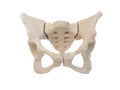 3d rendered illustration of the sacrum, illustration of human skeleton . sacrum bone anatomy. icon