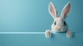 Blue Wall Easter Bunny Peeping Out - 3D Rendered Image Royalty Free Stock Photo