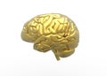 3D Rendered image of Human brain side view in Gold color Royalty Free Stock Photo