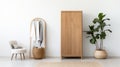 Minimalist Wooden Armoire By West Elm - High Quality Photo