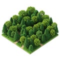 A 3D-rendered image of a small, square plot of dense forest with diverse tree species, Royalty Free Stock Photo