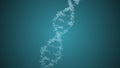 3D rendered loopable animation of rotating DNA double helix glowing molecule on blue background. Genetics conceptual Royalty Free Stock Photo