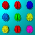 3d rendered low poly brains set illustration