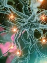 An active human nerve cell Royalty Free Stock Photo
