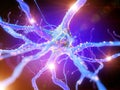 An active nerve cell Royalty Free Stock Photo