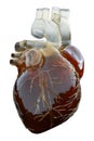 3d rendered medically accurate illustration of an artificial heart